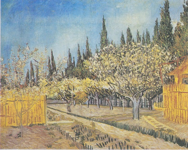 Van Gogh   Blühender Obstgarten von Zypressen um  Print