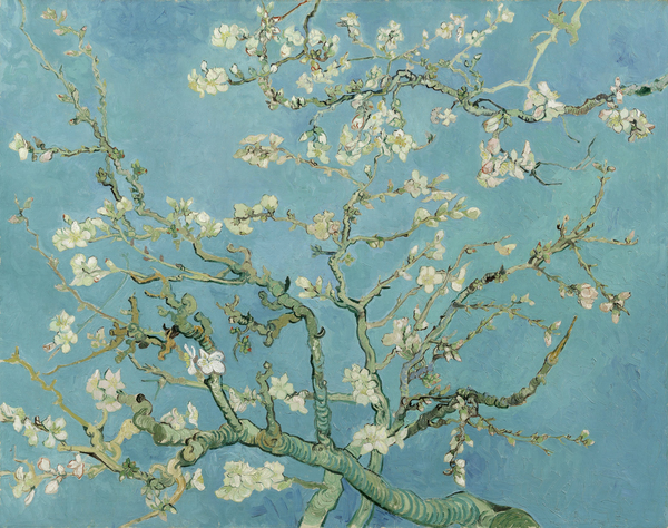 Vincent van Gogh   Almond blossom Print
