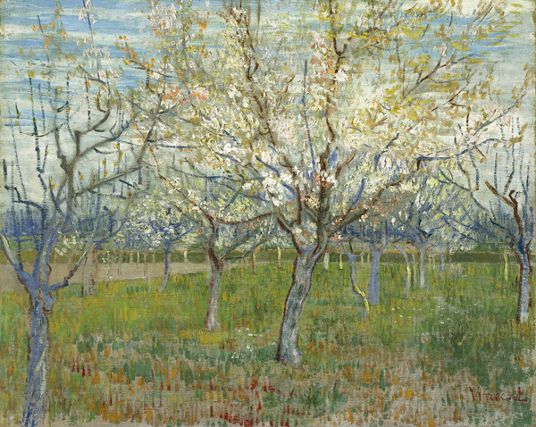 Vincent van Gogh   De roze boomgaard  Print