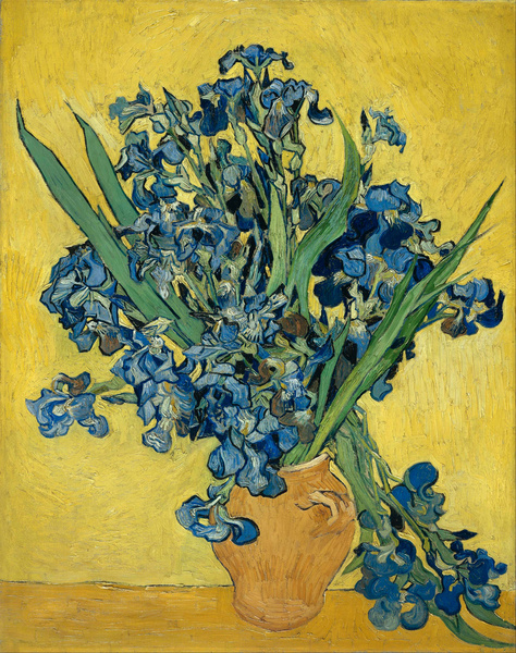 Vincent van Gogh   Irises Print