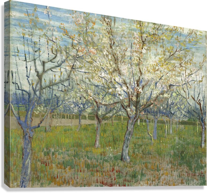 Vincent van Gogh   De roze boomgaard  Canvas Print
