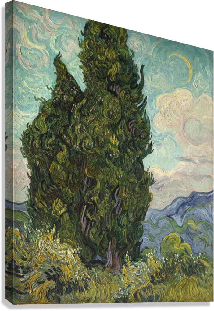 Vincent Van Gogh 0016 Canvas Print