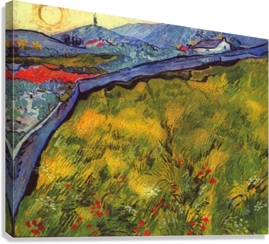 Vincent Willem van Gogh 007 Canvas Print