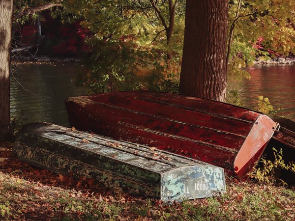 Fall Skiffs Print
