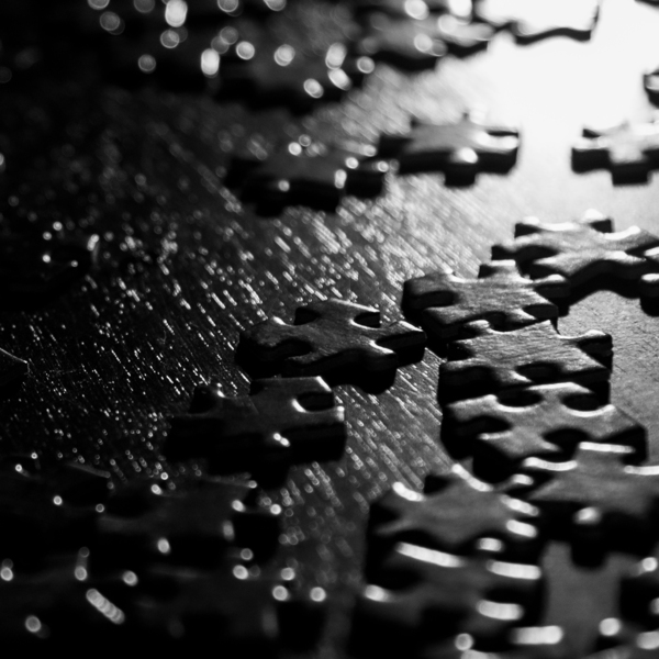 Puzzled Print