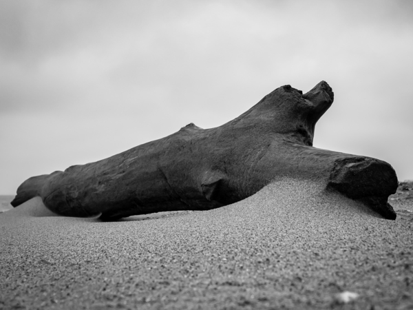 Drifted Sand Print