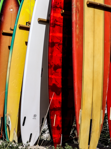 Surfboards in Wait Print