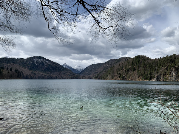 2023 04 15 13 59 44 069 Print