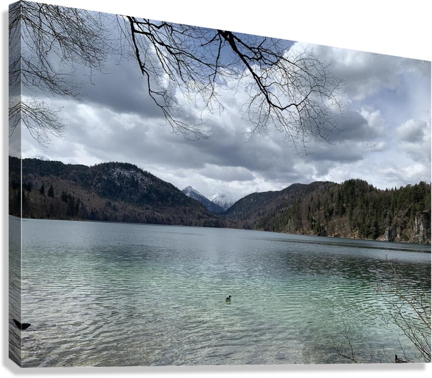 2023 04 15 13 59 44 069 Canvas Print