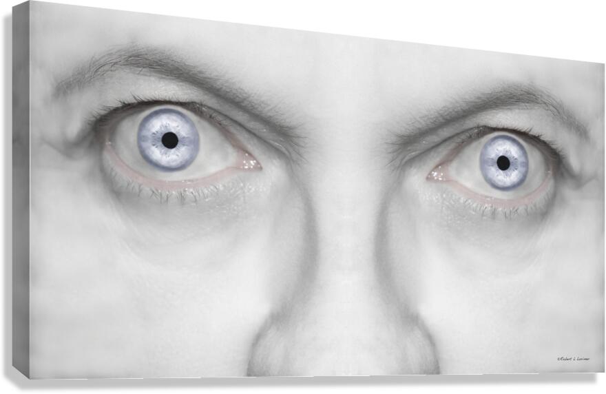 Eyes Canvas Print