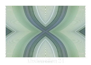 ABSTRACTION 24