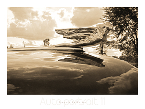 AUTO PORTRAIT 11