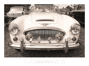 AUTO PORTRAIT 18