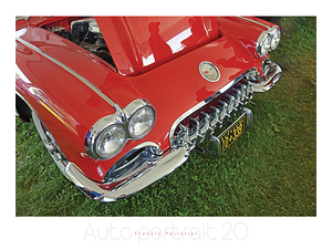 AUTO PORTRAIT 20
