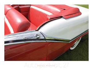 AUTO PORTRAIT 25