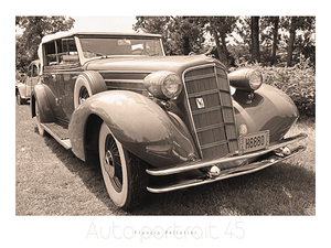 AUTO PORTRAIT 45