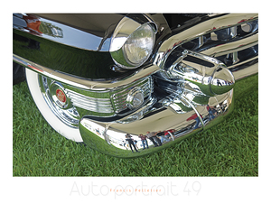 AUTO PORTRAIT 49