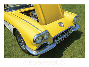AUTO PORTRAIT 67