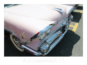 AUTO PORTRAIT 77