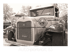 AUTO PORTRAIT 83