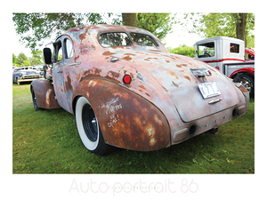 AUTO PORTRAIT 86