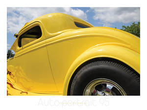 AUTO PORTRAIT 95