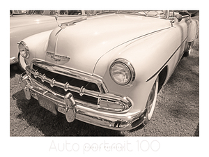 AUTO PORTRAIT 100