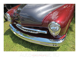 AUTO PORTRAIT 110