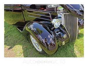 AUTO PORTRAIT 113