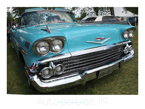 AUTO PORTRAIT 119