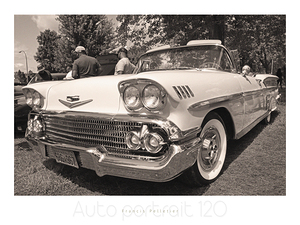 AUTO PORTRAIT 120