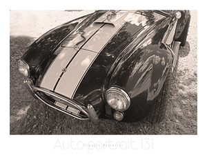 AUTO PORTRAIT 131