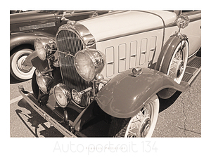AUTO PORTRAIT 134