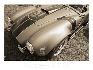 AUTO PORTRAIT 158