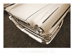 AUTO PORTRAIT 161