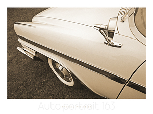 AUTO PORTRAIT 163