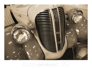 AUTO PORTRAIT 170