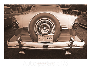 AUTO PORTRAIT 173
