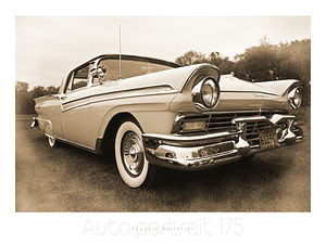 AUTO PORTRAIT 175