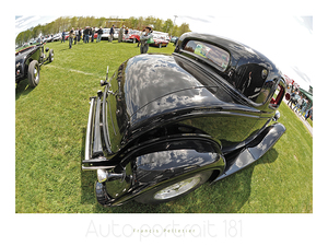 AUTO PORTRAIT 181