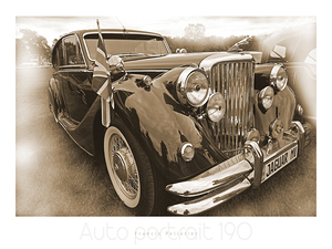 AUTO PORTRAIT 190
