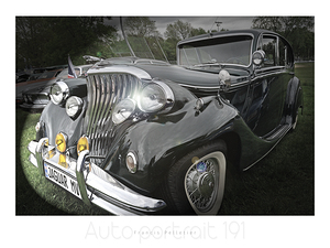 AUTO PORTRAIT 191