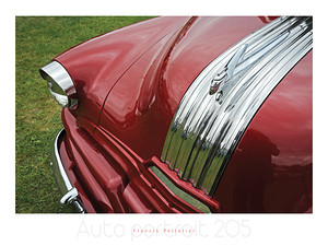 AUTO PORTRAIT 205