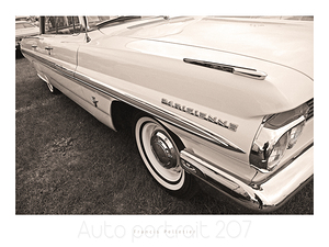 AUTO PORTRAIT 207