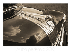 AUTO PORTRAIT 209