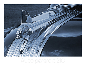 AUTO PORTRAIT 210