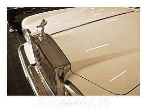 AUTO PORTRAIT 218