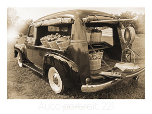 AUTO PORTRAIT 221