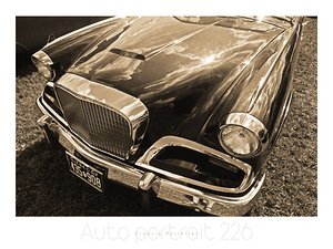 AUTO PORTRAIT 226
