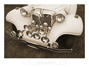 AUTO PORTRAIT 232